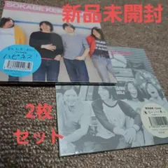 2026年最新】サニーデイサービスの人気アイテム - メルカリ