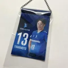 2026年最新】山本智大 大阪ブルテオンの人気アイテム - メルカリ