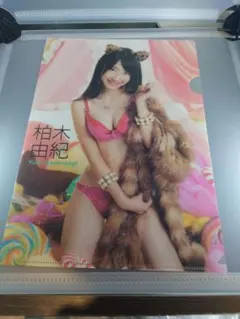 2026年最新】柏木由紀 クリアファイルの人気アイテム - メルカリ