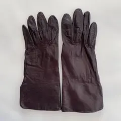 2026年最新】セルモネータグローブスの人気アイテム - メルカリ