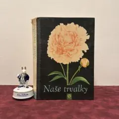 2026年最新】植物図鑑 洋書の人気アイテム - メルカリ