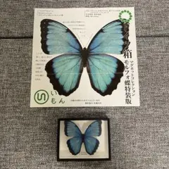 2026年最新】ドイツ箱標本の人気アイテム - メルカリ