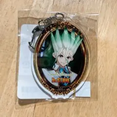 2026年最新】dr.stone 推しくじ シンデレラの人気アイテム - メルカリ