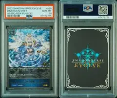 2026年最新】次元の超越 psa10の人気アイテム - メルカリ