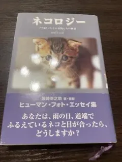 2026年最新】坂崎幸之助 グッズの人気アイテム - メルカリ