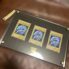 2026年最新】海馬セット ディスプレイの人気アイテム - メルカリ