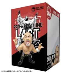 2026年最新】武藤敬司 ソフビの人気アイテム - メルカリ