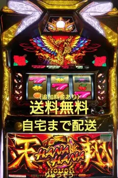 ツインドラゴンハナハナ 中古 データカウンター付き 受け渡しのみ対応