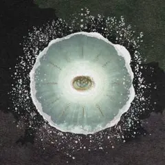 2026年最新】Siip 完全生産限定の人気アイテム - メルカリ