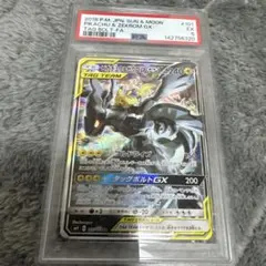 2026年最新】ピカチュウ&ゼクロム sr psa10の人気アイテム - メルカリ