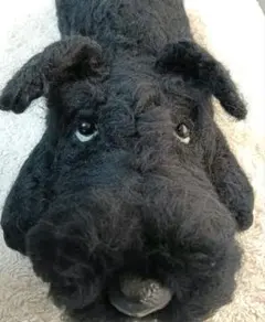 2026年最新】ぬぼっとまったりお顔のシュナウザーの人気アイテム