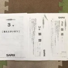 2026年最新】サピックス1月度復習テストの人気アイテム - メルカリ