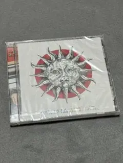 2026年最新】ハルカミライ 武道館 dvdの人気アイテム - メルカリ