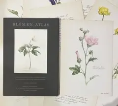 2026年最新】elsa felskoの人気アイテム - メルカリ