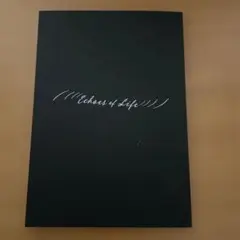 2026年最新】Echoes of life ストーリーブックの人気アイテム - メルカリ
