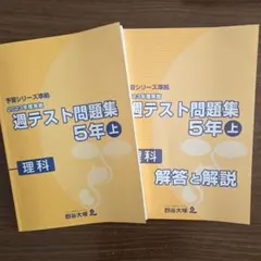 2026年最新】四谷大塚 週テスト問題集 5年の人気アイテム - メルカリ