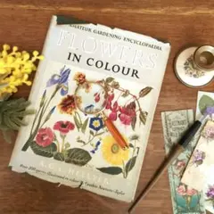 2026年最新】アンティーク植物図鑑の人気アイテム - メルカリ