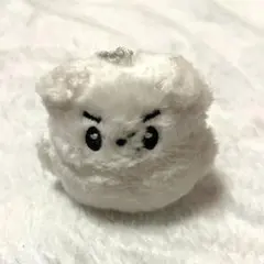 2026年最新】THEBOYZ ヨンフン ぬいぐるみの人気アイテム - メルカリ