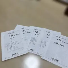 2026年最新】sapix 入室テストの人気アイテム - メルカリ