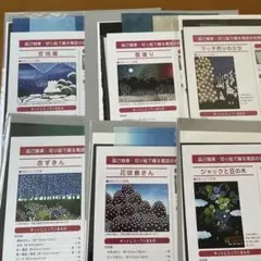 2026年最新】辰巳雅章の人気アイテム - メルカリ