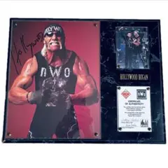 2026年最新】ハルクホーガン サインの人気アイテム - メルカリ