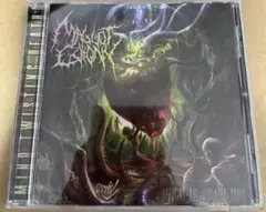 2026年最新】CD デスメタルの人気アイテム - メルカリ