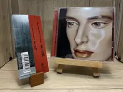 2026年最新】ドレスコーズ 平凡の人気アイテム - メルカリ