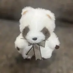 2026年最新】TAKENOKO アライグマ ぬいぐるみの人気アイテム - メルカリ