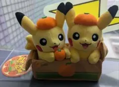 2026年最新】ペアピカチュウとえひめみかんの人気アイテム - メルカリ