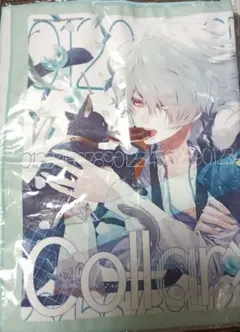 2026年最新】collar×malice マイクロファイバータオルの人気アイテム