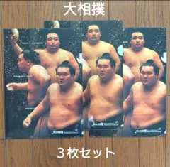 2026年最新】琴奨菊の人気アイテム - メルカリ