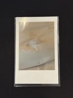 2026年最新】Ado 心臓 チェキ シークレットの人気アイテム - メルカリ