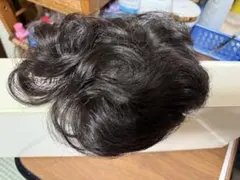 2026年最新】フォンテーヌ ウィッグ f2bの人気アイテム - メルカリ