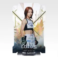 2026年最新】ケイトロータス サインの人気アイテム - メルカリ