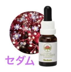 2026年最新】オーストラリアンブッシュの人気アイテム - メルカリ