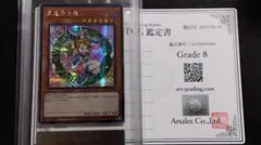 2026年最新】旧アジア ブラックマジシャンガールの人気アイテム - メルカリ