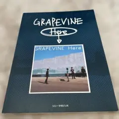 2026年最新】バンドスコア グレイプバインの人気アイテム - メルカリ