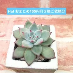 2026年最新】ホリコロの人気アイテム - メルカリ