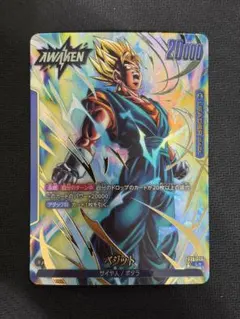 2026年最新】ベジット リーダーの人気アイテム - メルカリ