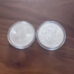 2026年最新】メイプルリーフ銀貨の人気アイテム - メルカリ