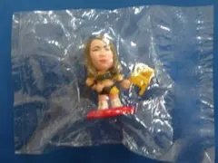 2026年最新】プロ格ヒーローズの人気アイテム - メルカリ