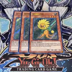 2026年最新】遊戯王 ダンディ 英語の人気アイテム - メルカリ