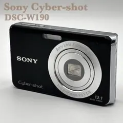 2026年最新】DSC-W190の人気アイテム - メルカリ