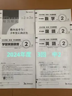 2026年最新】学力推移調査中2第3回の人気アイテム - メルカリ