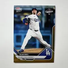 2026年最新】ブレイク・スネルの人気アイテム - メルカリ