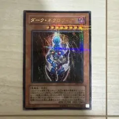 2026年最新】ダークネクロフィア パラレルの人気アイテム - メルカリ