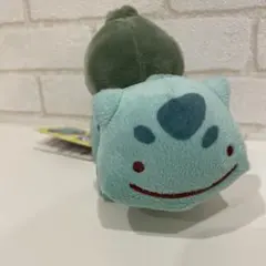 2026年最新】へんしんメタモン フシギダネの人気アイテム - メルカリ