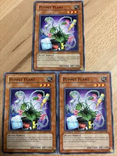 2026年最新】1103 遊戯王 英語の人気アイテム - メルカリ