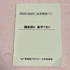 2026年最新】早稲アカ 正月特訓の人気アイテム - メルカリ