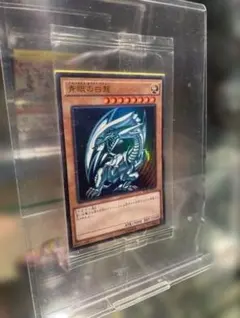 2026年最新】ブルーアイズ JPP01の人気アイテム - メルカリ